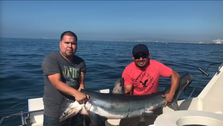 Four Reel Sportfishing